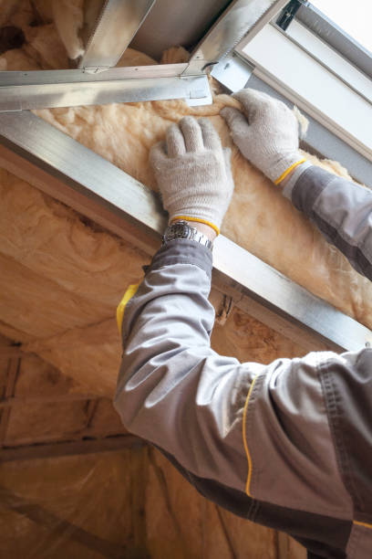 Best Specialized Insulation Services in Valley Falls, KS